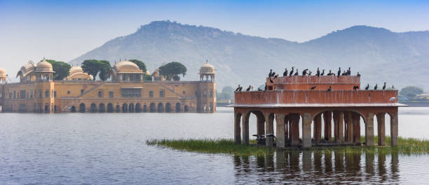 ranthambore