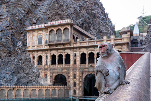 Galta ji Temple